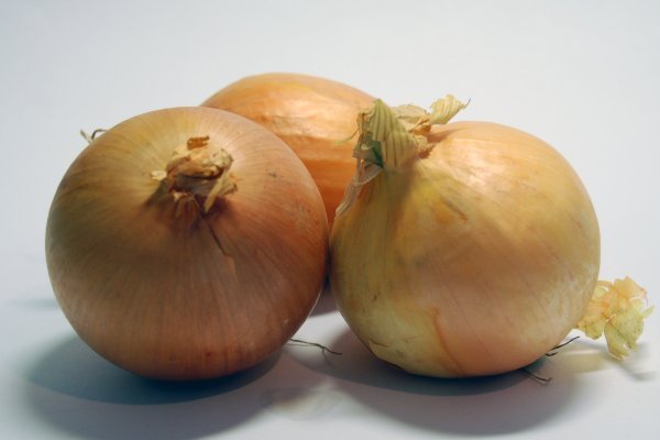 Cibulový sirup s medem
